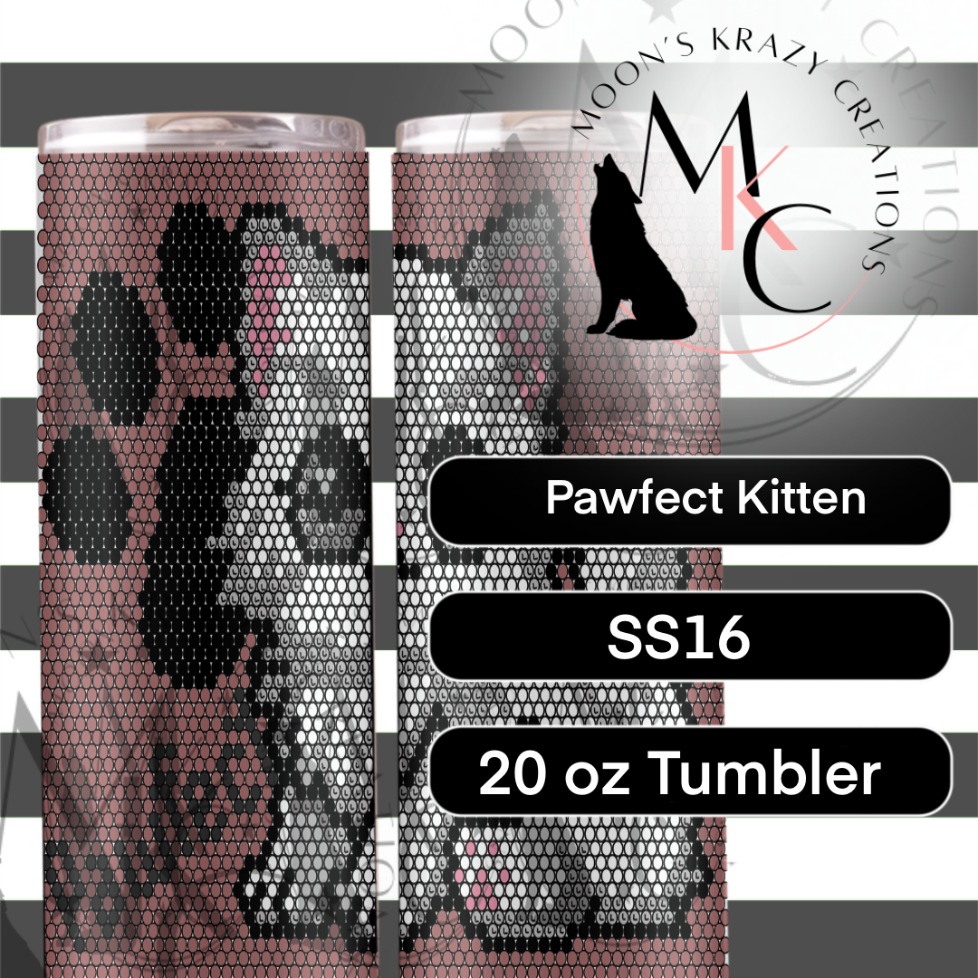 Pawfect Kitten