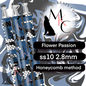 Flower Passion