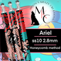 Ariel